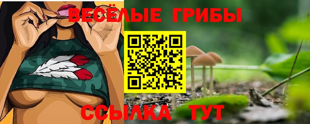 Галлюциногенные грибы Magic Shrooms Бугульма